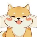 BabyShiba Logo
