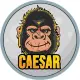 CaesarToken