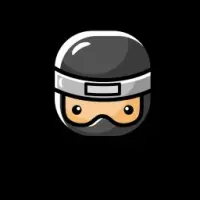 LittleNinja Logo