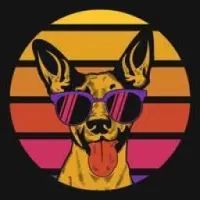 Floki Lasers Logo