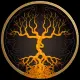 Cordyceps.Finance
