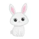 BABY RABBIT