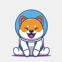 BabyMarsDOGE Logo