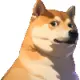 KABOSU