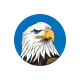 Hawk