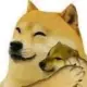 DogeMcCheems