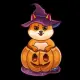 Shibboo Inu