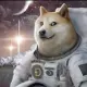 Doge 1