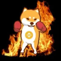 HotFloki Logo