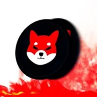 SHIBA BURN Logo