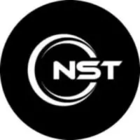Nordic Swap Logo