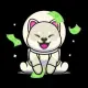 Shiba Cash Defi