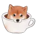 Cappucinu