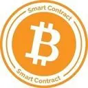 Bitcoin Networks Logo