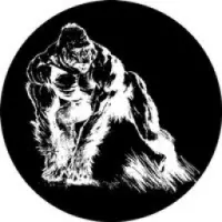 DogeApe BSC Logo
