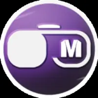Virtual Meta Logo