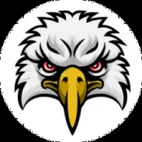 Hawk Coin Logo