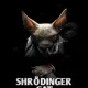Schrodingers cat