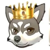 First Doge Logo