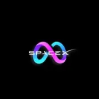Space X Metaverse Logo