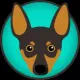 LuckyDogCoin