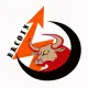 Bull Run Coin