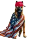 MAGADOG