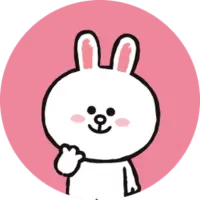 Cony Logo