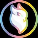 OWLRISE BSC Logo