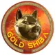 Gold Shiba