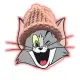 TomCatWifHat