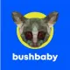BushBaby