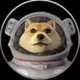 AstroDoge