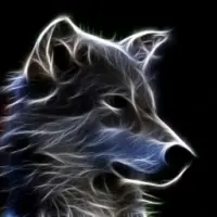 Howling Wolf Token Logo