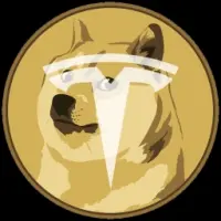 Tesla Doge Pay Logo