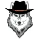 GRAY WOLF