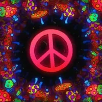 PeacevoidNFTs Logo