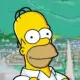 HOMER SIMPSON