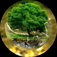 Clean the World official Logo