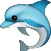 Bottlenose Finance Token Logo