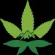 Baby Bud