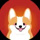 Corgi Inu on bnb