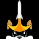 Starshiba Inu
