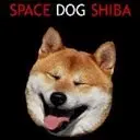 SpaceDogShiba Logo