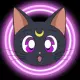 Luna Cat