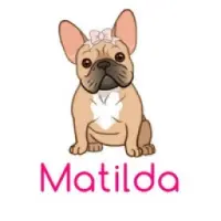 MATILDA VIP Logo
