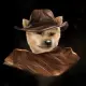 Shiballistic