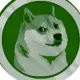ClassicDoge
