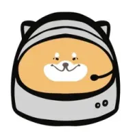DogeForceOne Logo