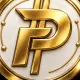 PulsaryPay